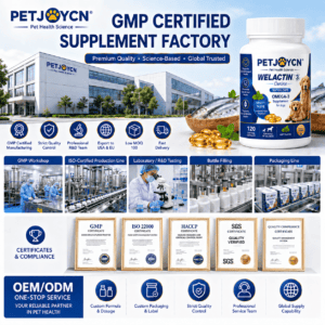Omega-3 Skin & Coat Soft Chews for Dogs